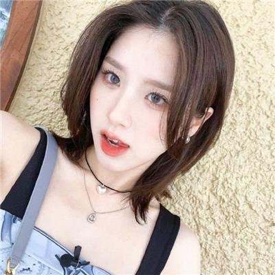 今天也很可爱的狗