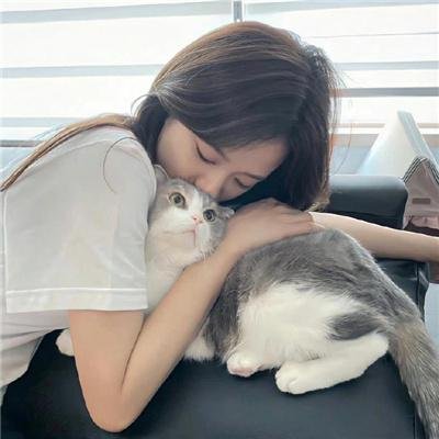 天网擒凶